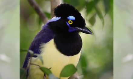 You Don’t Have to Be a Nature Expert to Love It