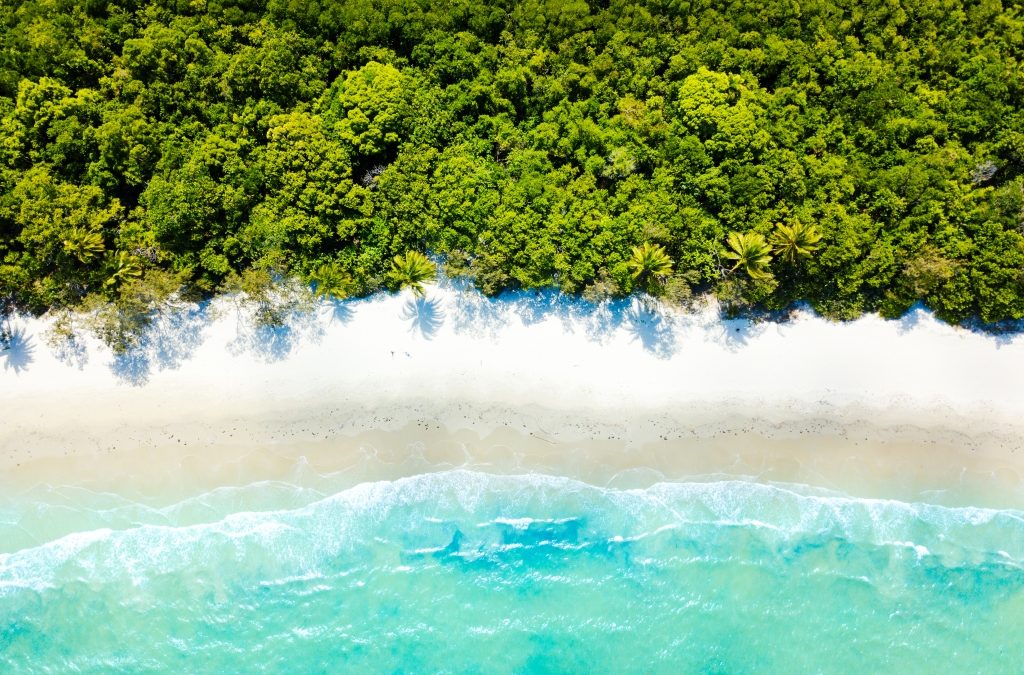Northern Australia’s Daintree: The Oldest Rainforest on Earth