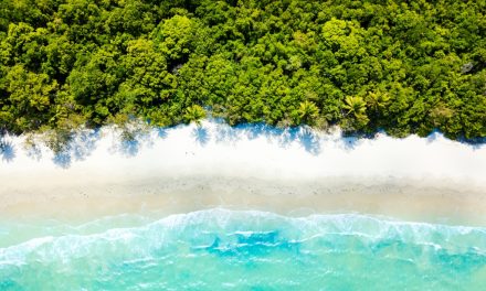 Northern Australia’s Daintree: The Oldest Rainforest on Earth