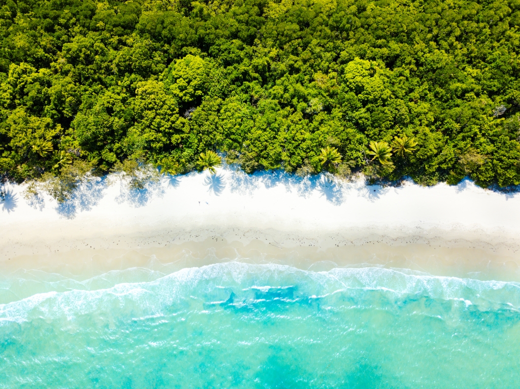 The Barrier Reef meets the Daintree at Cape Tribulation