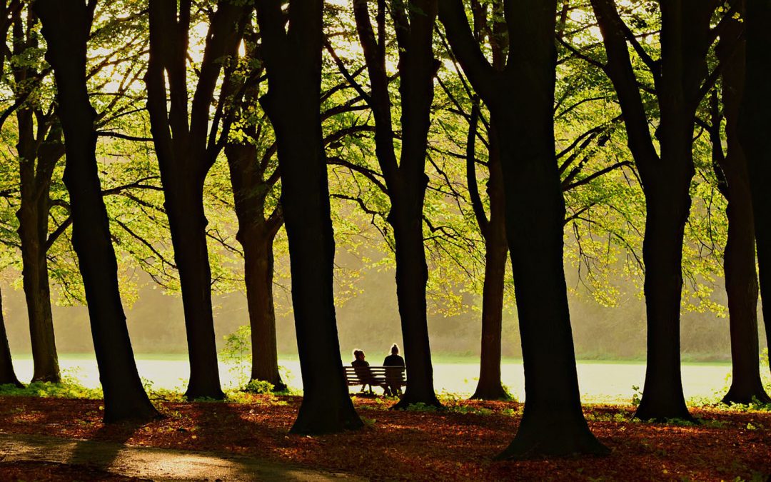 Parks, People, a Pandemic and Problem-Solving