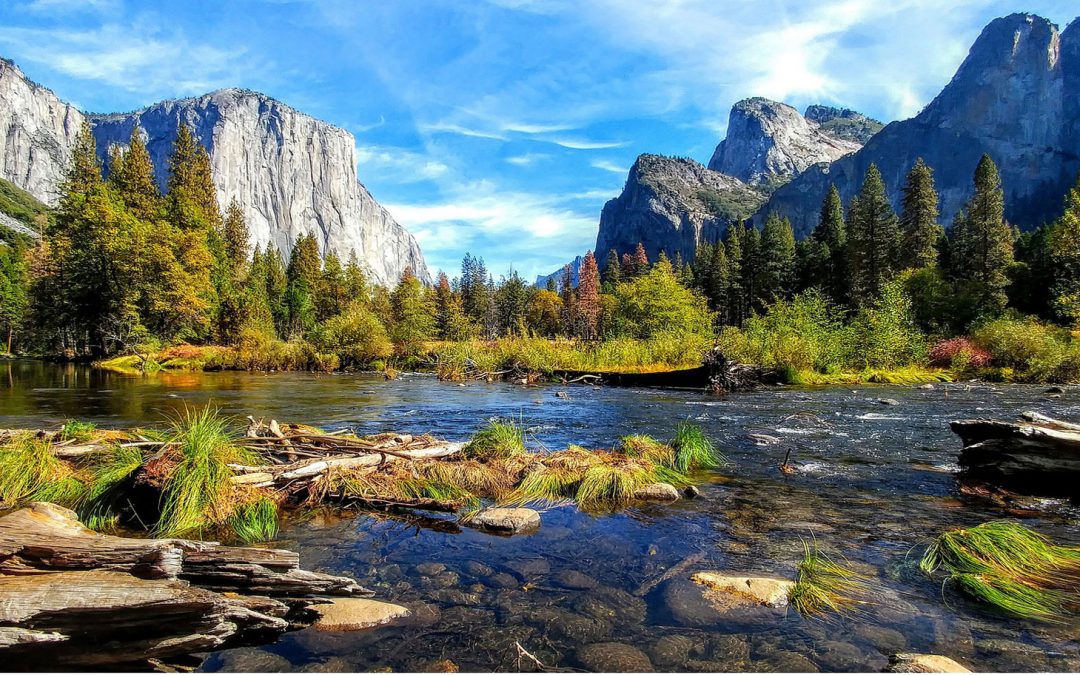 Wildfires Restore Yosemite and a Video View of the Park
