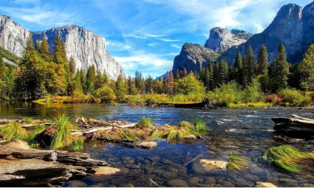 Wildfires Restore Yosemite and a Video View of the Park