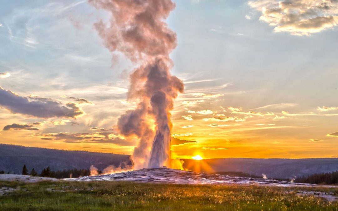 Yellowstone: A Problem for a Born Naturalist | A Glimpse Into the Life of a Yellowstone Guide