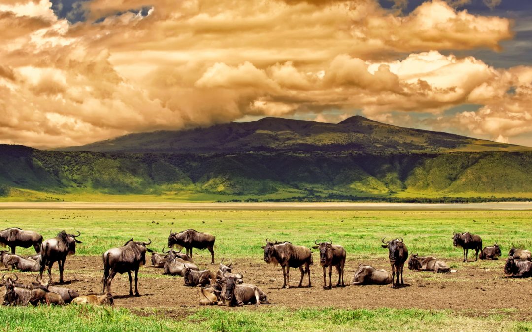 Tanzania’s Ngorongoro Crater: The Eighth Wonder of the Natural World
