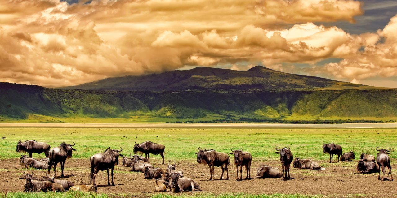 Tanzania’s Ngorongoro Crater: The Eighth Wonder of the Natural World
