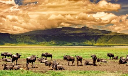 Tanzania’s Ngorongoro Crater: The Eighth Wonder of the Natural World