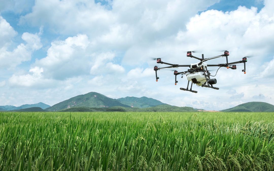 Drones: Weighing Whales and Assessing Associations