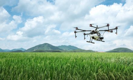 Drones: Weighing Whales and Assessing Associations