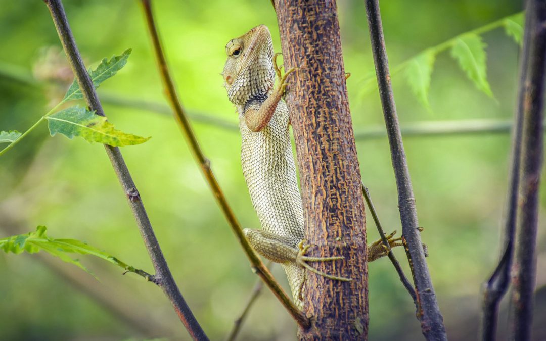 Finding New Life in a Pandemic. I Call That "Hope."