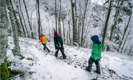 Guide to Sustainable Holiday Travel