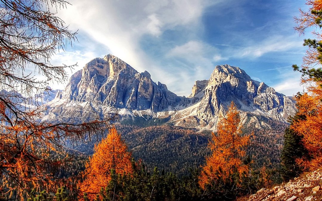 Clarifying the Confounding Words of Climate Change