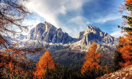 Clarifying the Confounding Words of Climate Change