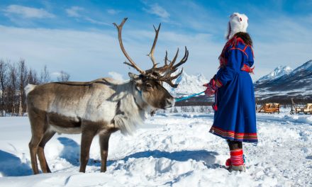 7 Reasons to Visit Northern Norway and Finnish Lapland During Winter