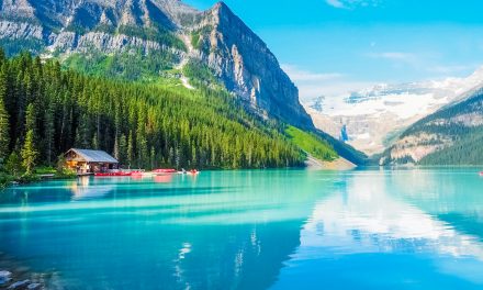 22 Nat Hab Travel Destinations Named Top Trips of 2022