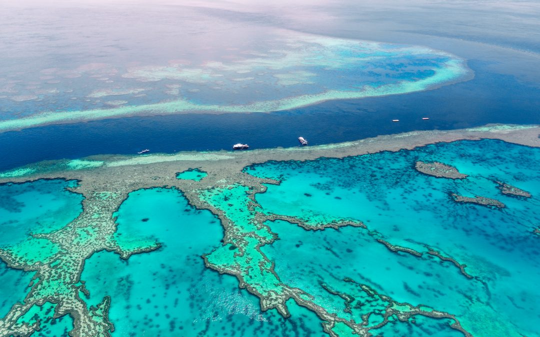 Lady Elliot Island: A Remote Marine Paradise in the Great Barrier Reef