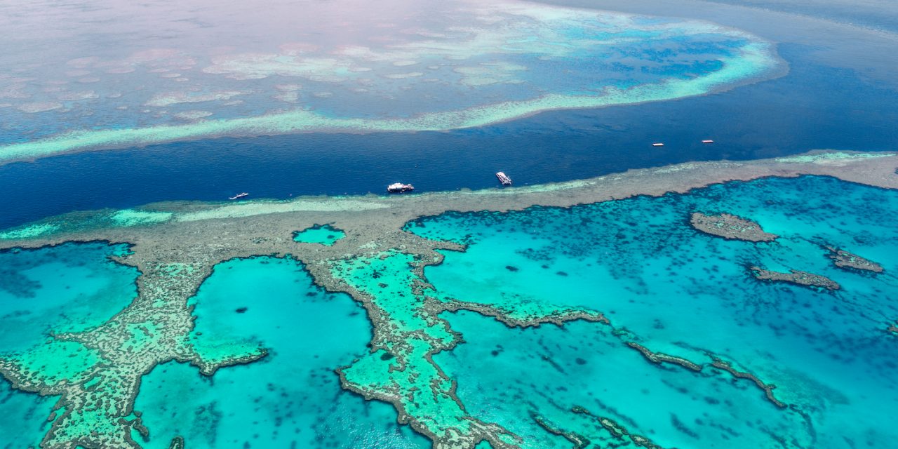 Lady Elliot Island: A Remote Marine Paradise in the Great Barrier Reef