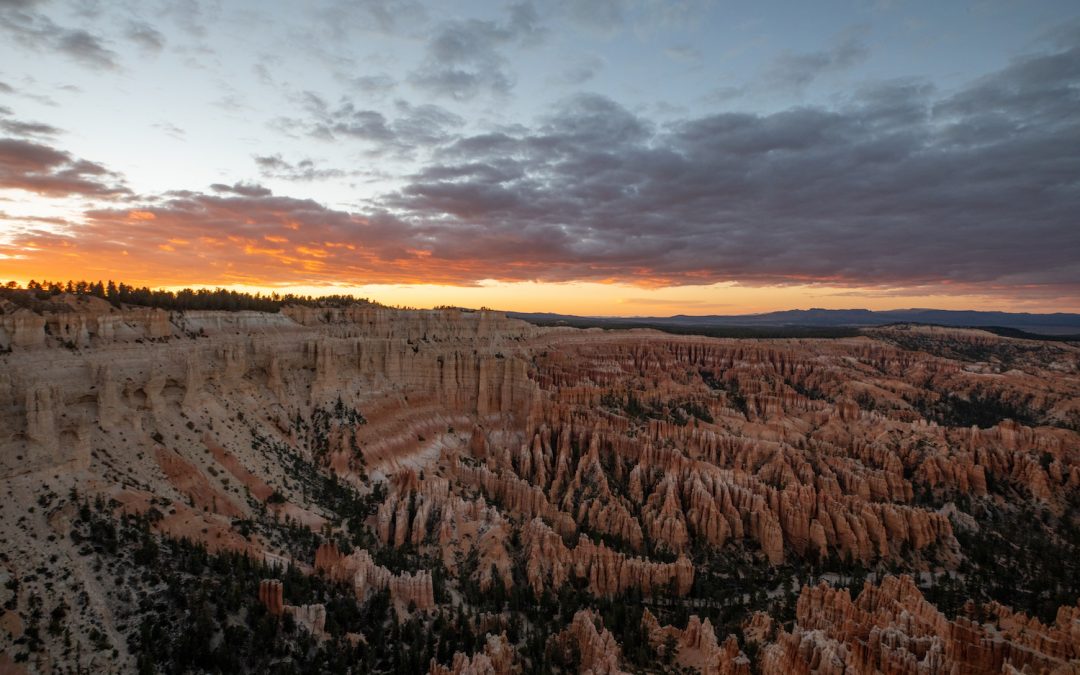 Discover the Desert Secrets of the Southwestern United States