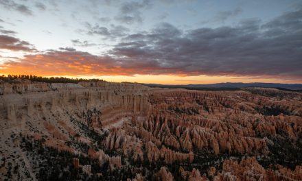 Discover the Desert Secrets of the Southwestern United States