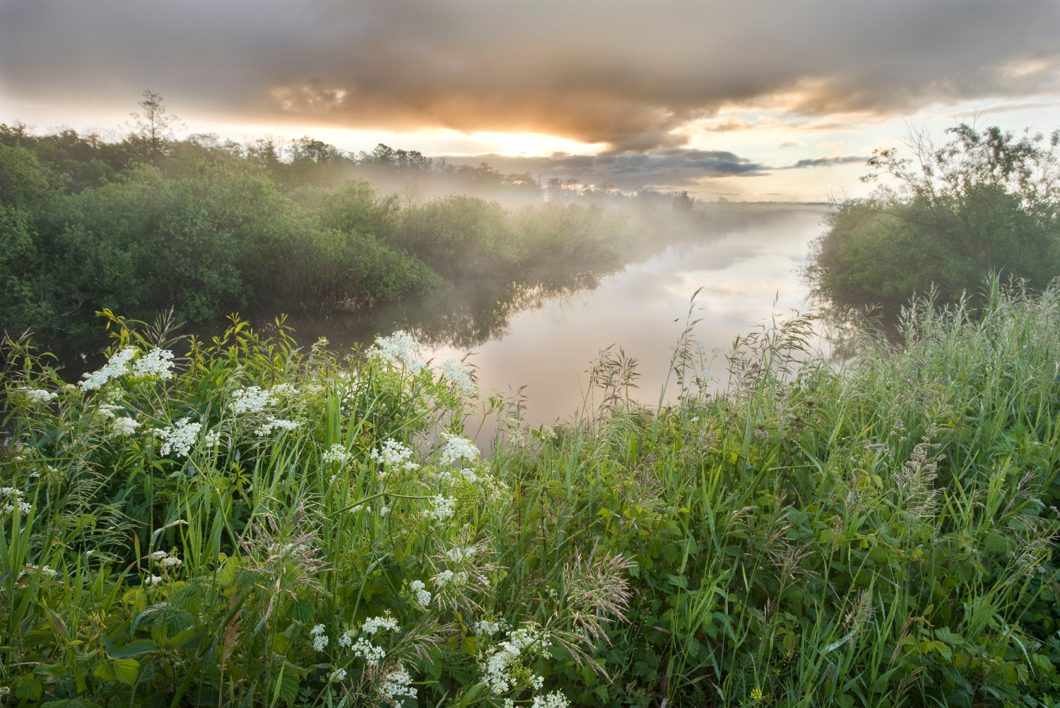 Dawn light over wetland habitat, Nemunas Regional Reserve, Lithuania, June 2009
