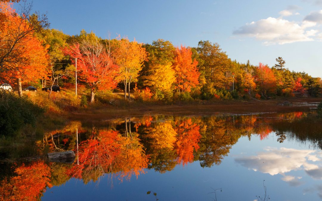 Becoming Acadia National Park: History & Culture