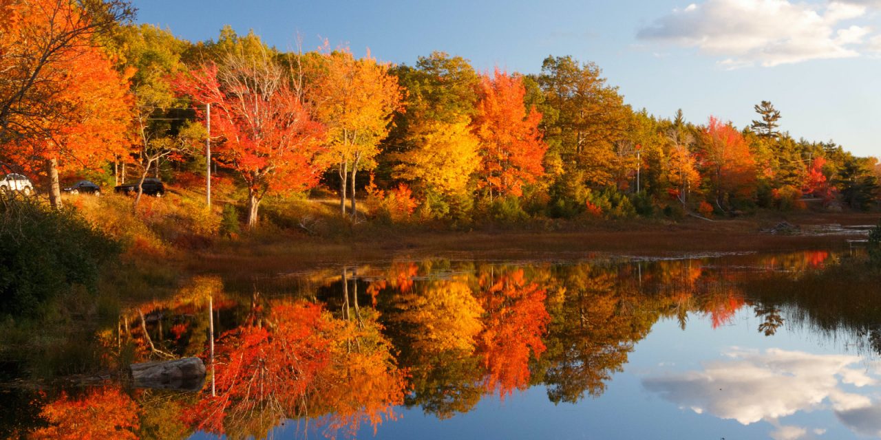 Becoming Acadia National Park: History & Culture