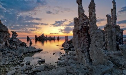 A Guide to Outsmarting Crowds at Yosemite National Park