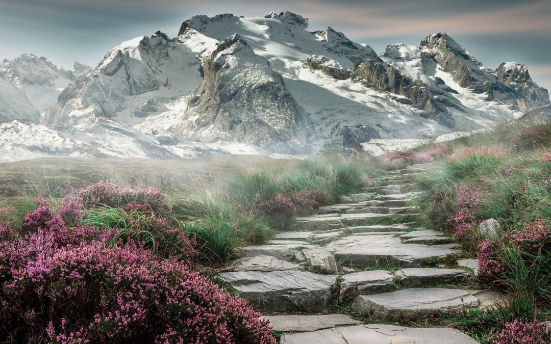 Mountains Are the Center for Earth’s Biodiversity