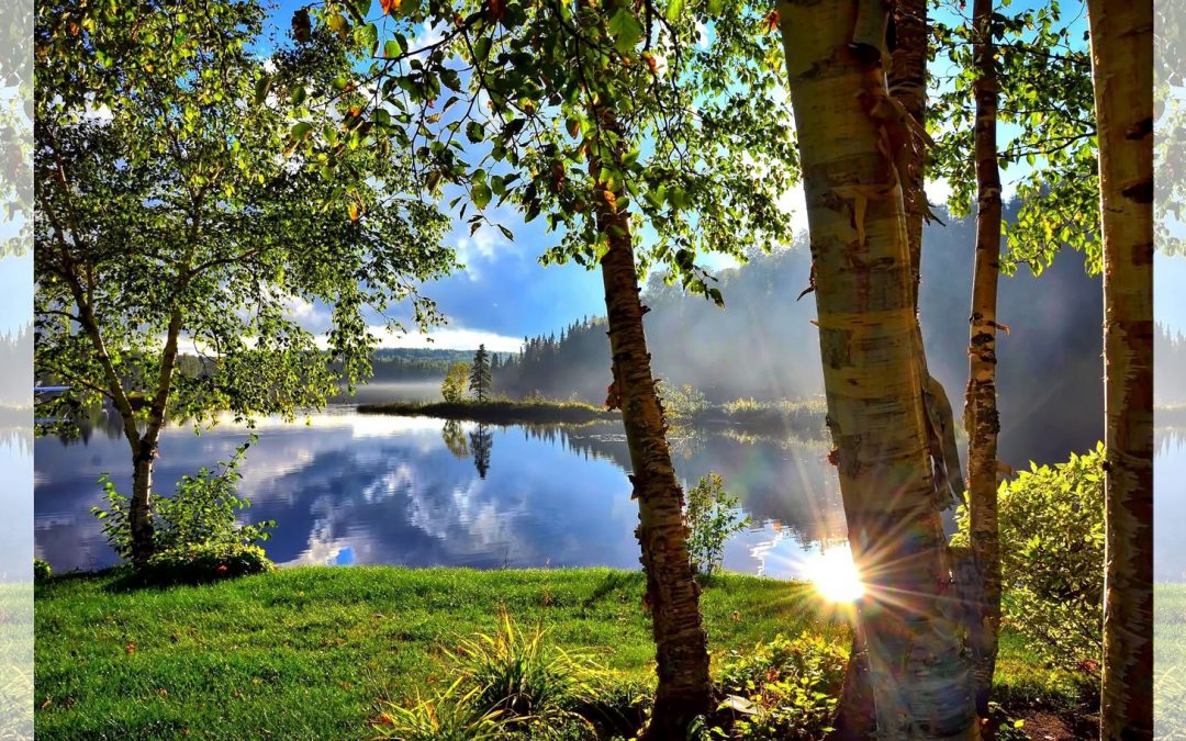 Nature Is Good for Your Brain—and Body Image