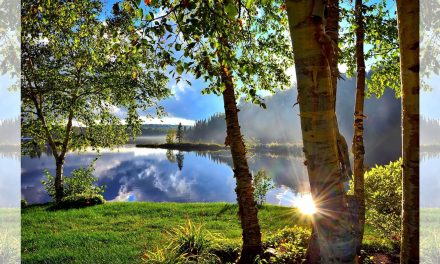 Nature Is Good for Your Brain—and Body Image