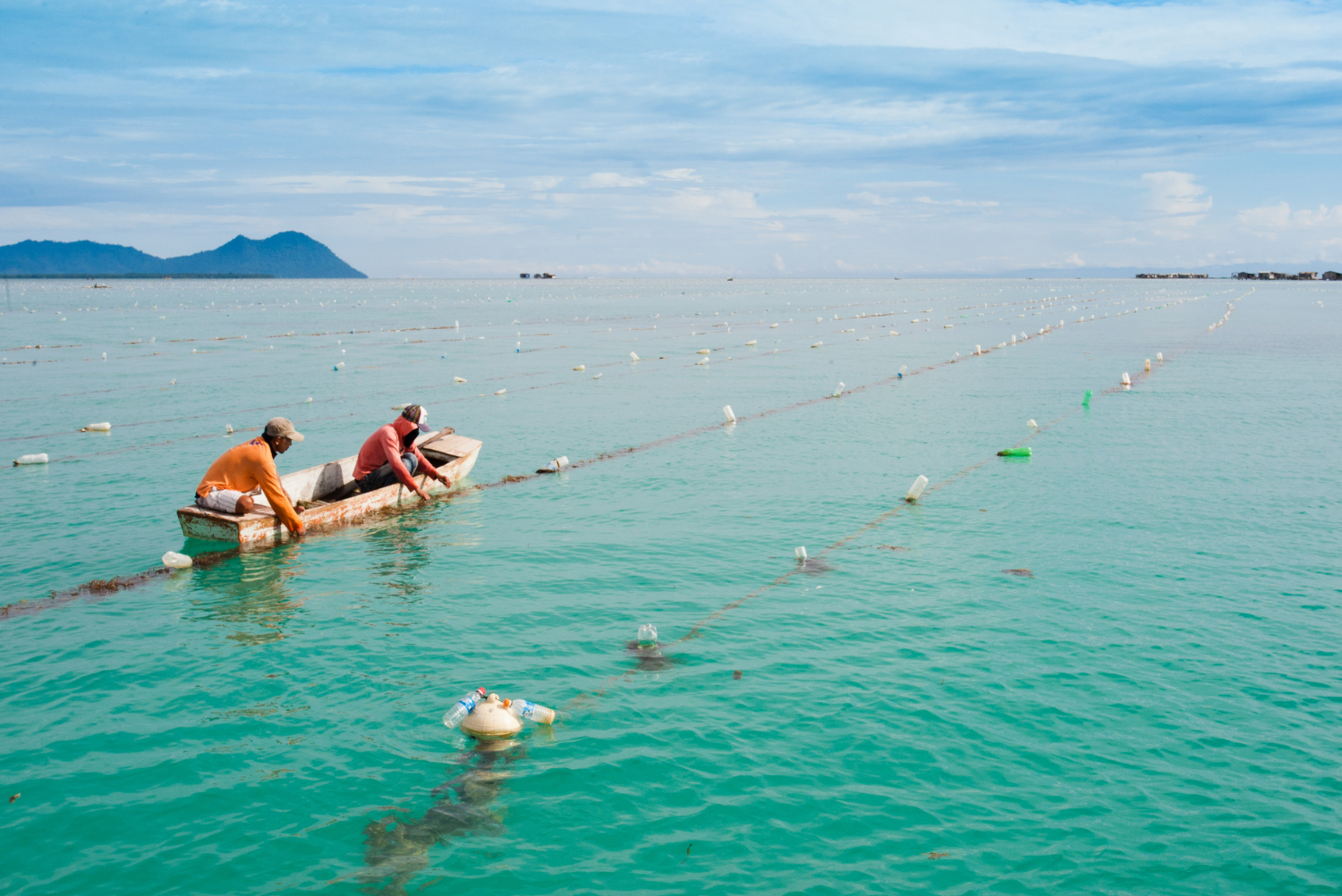 Traditional seaweed farming industries at Semporna, Sabah. This local industry is part of the marine spatial planning of WWF-Malaysia Semporna PCA team.