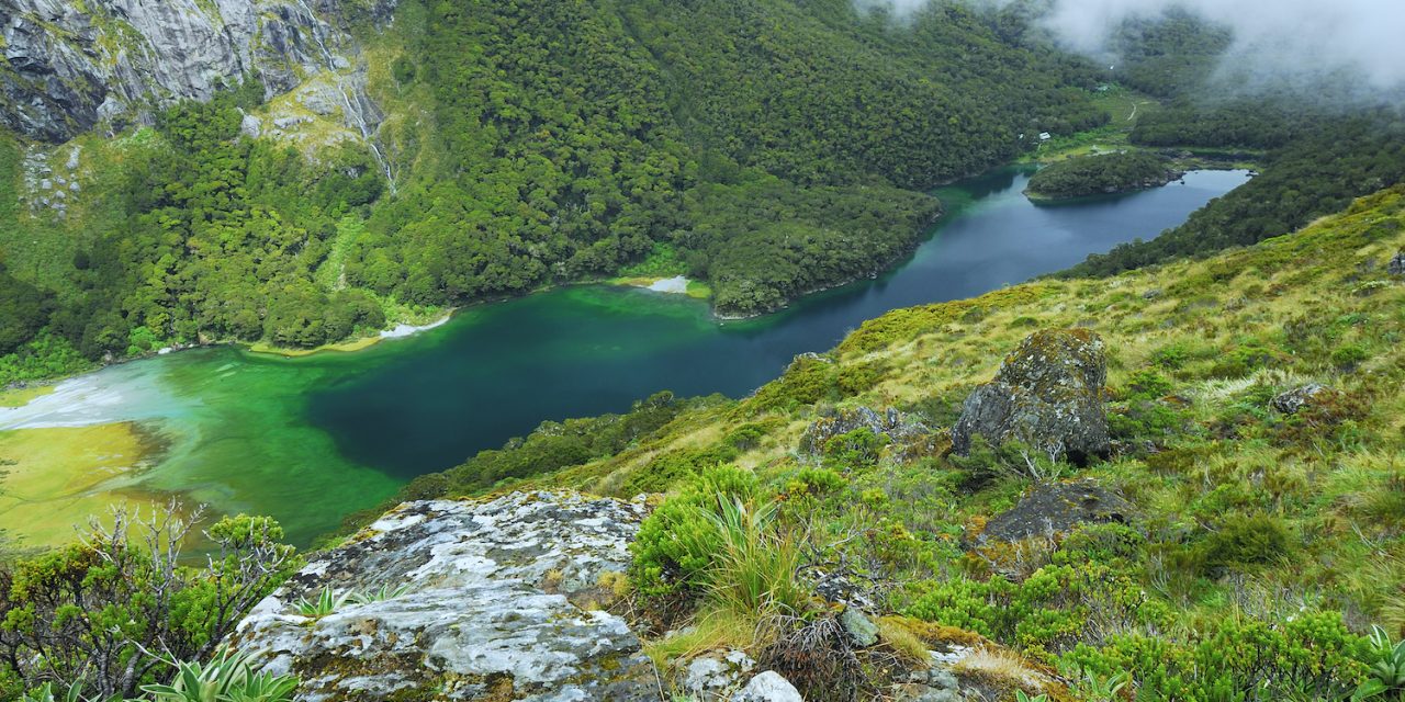 Magical Encounters in New Zealand’s Lake Moeraki: Kea, Penguins, Glowworms and More