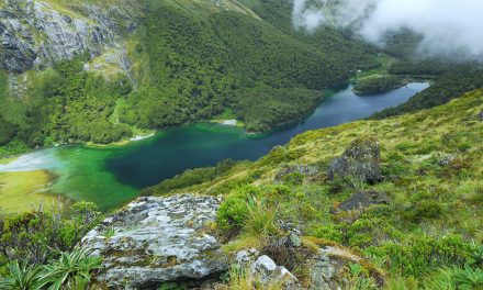 Magical Encounters in New Zealand’s Lake Moeraki: Kea, Penguins, Glowworms and More