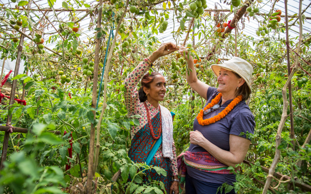 WWF 2021 Conservation Win: Taking Action on Food Waste