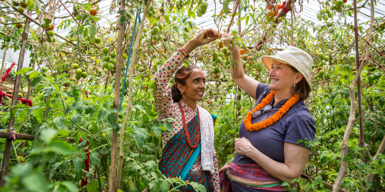 WWF 2021 Conservation Win: Taking Action on Food Waste