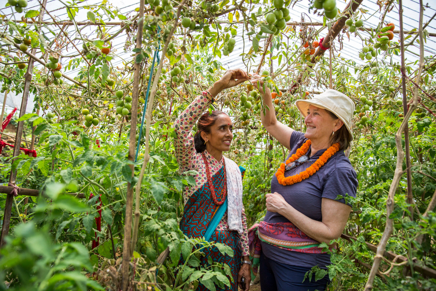 Two women touring a greenhouse with tomatoes in Nepal (WWF)