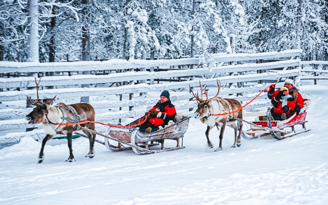 Caribou vs. Reindeer: Is There a Difference?