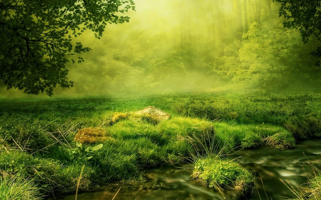 30 x 30: Conserving 30 Percent of U.S. Lands by 2030