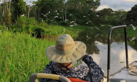 The Amazon River Through the Eyes of a Naturalist Guide