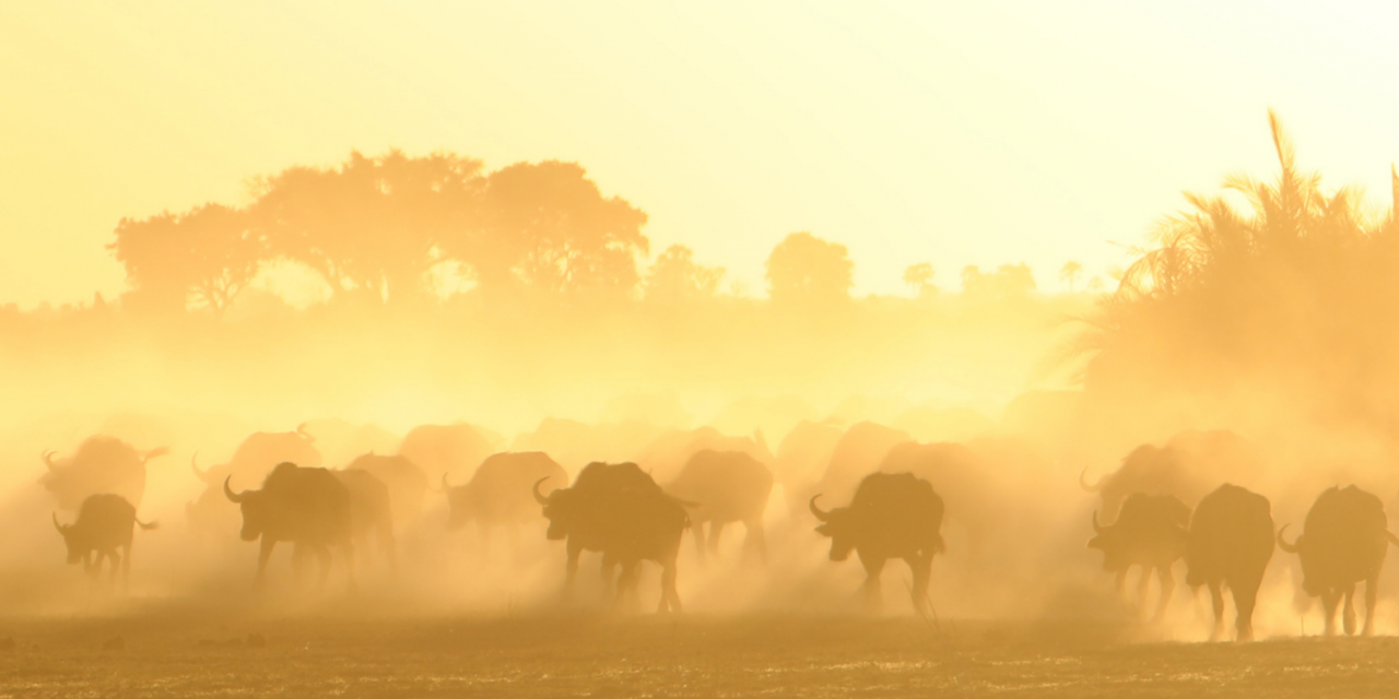 Nature: The Currency of a Life Worth Living