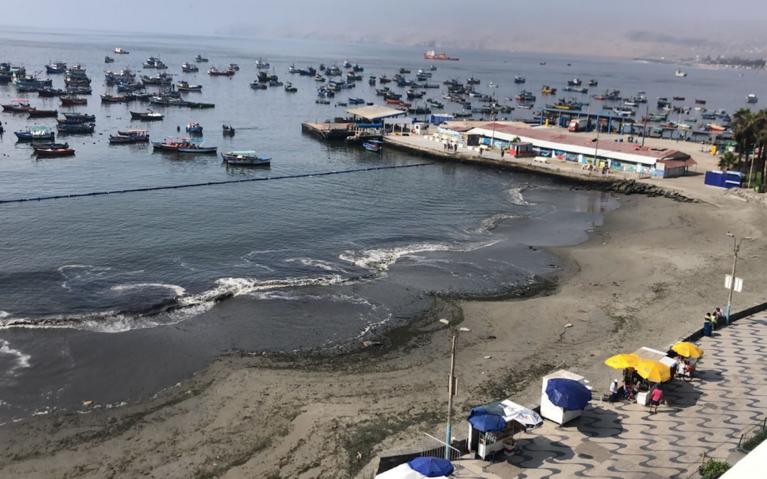 The Impact of Oil Spills: A Look at the Repsol Spill in Peru