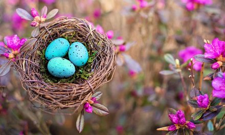 Sounds of Spring: Not Silent Yet