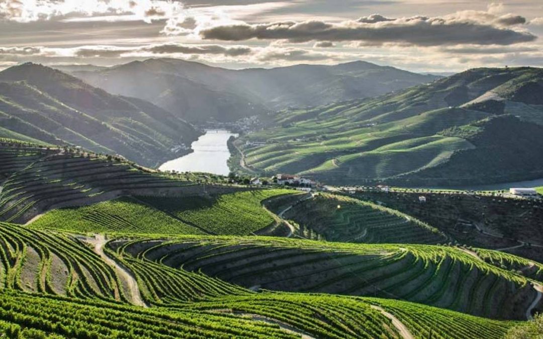 The Wild Upper Douro: An International Treasure