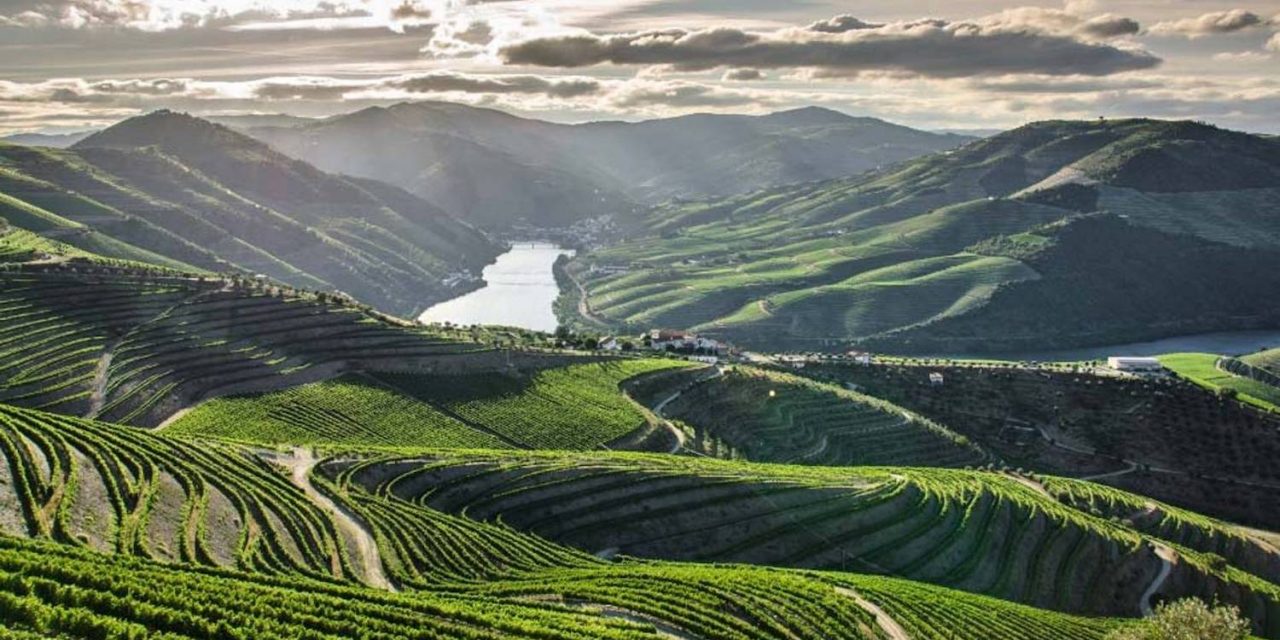 The Wild Upper Douro: An International Treasure