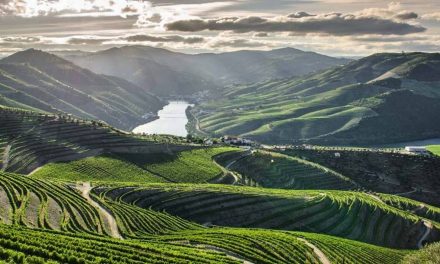 The Wild Upper Douro: An International Treasure