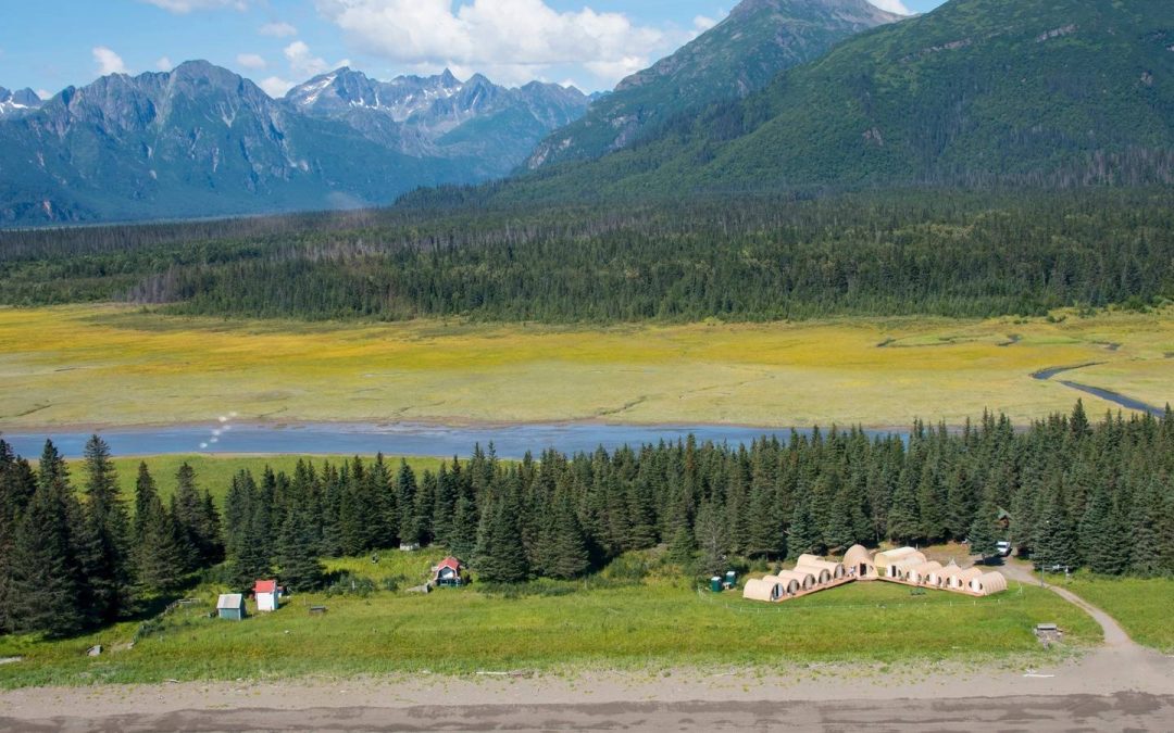Two Decades and Counting: Meet the Manager of Nat Hab’s Alaska Bear Camp