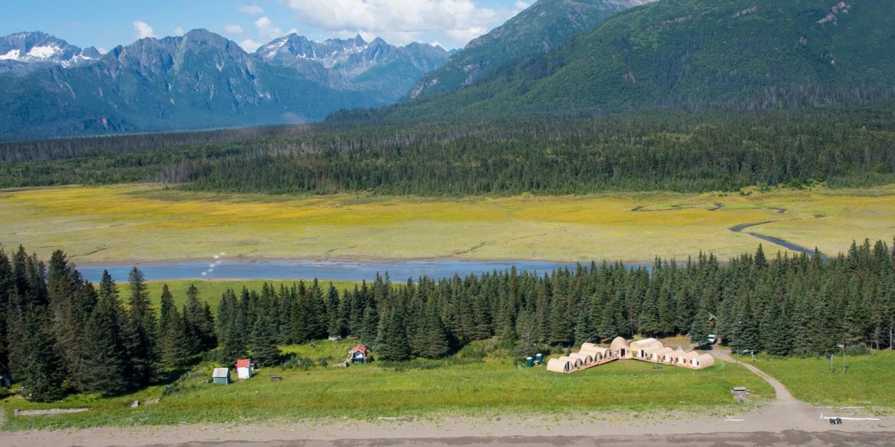 Two Decades and Counting: Meet the Manager of Nat Hab’s Alaska Bear Camp