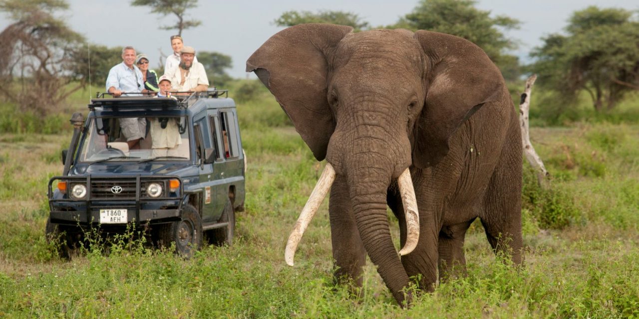 4 Places to See Wildlife on Your East Africa Safari