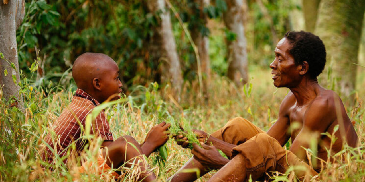 How Forests Provide, Prevent, and Heal