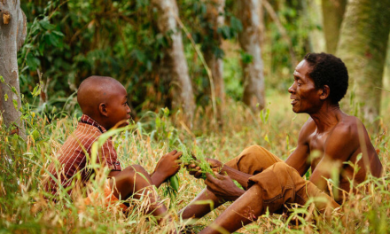 How Forests Provide, Prevent, and Heal